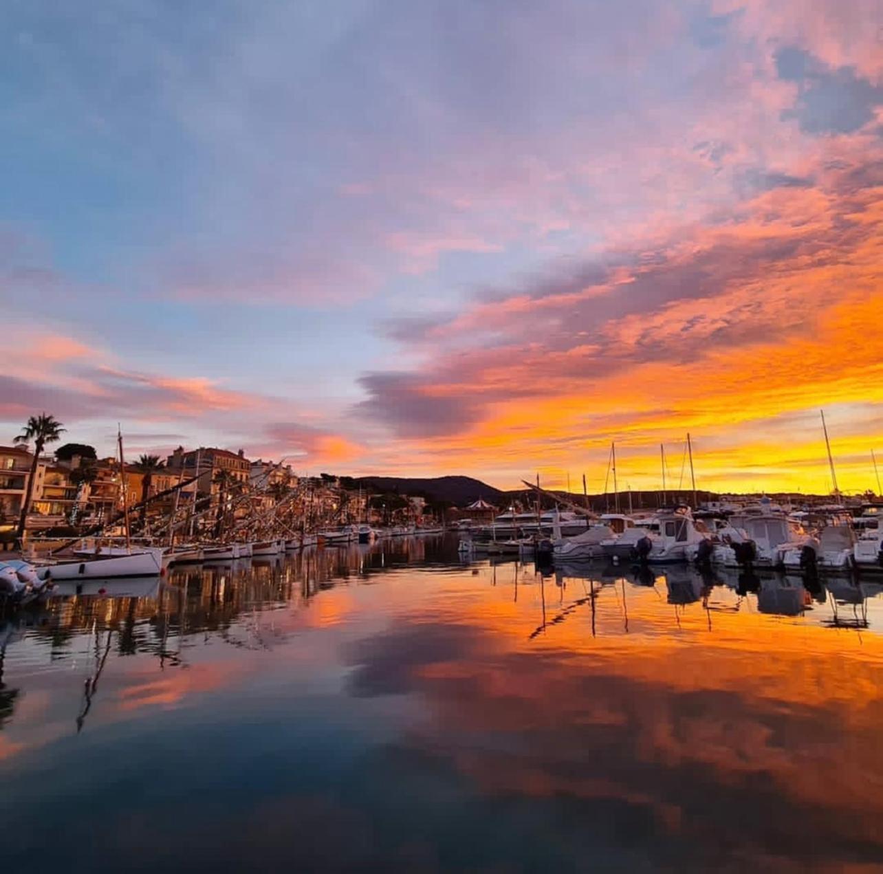 Logement Vue Mer Splendide - Situe A 50 Metres Du Bord De Mer Et 2 Minutes Des Plages - Bandolina Exterior foto