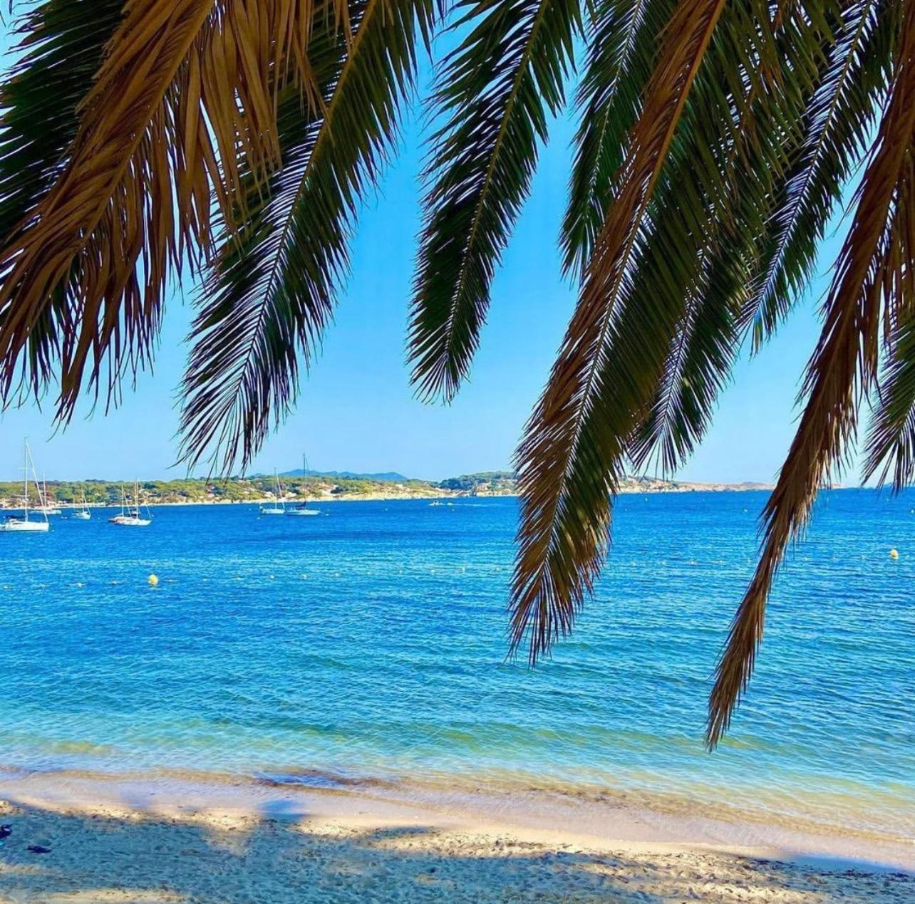 Logement Vue Mer Splendide - Situe A 50 Metres Du Bord De Mer Et 2 Minutes Des Plages - Bandolina Exterior foto