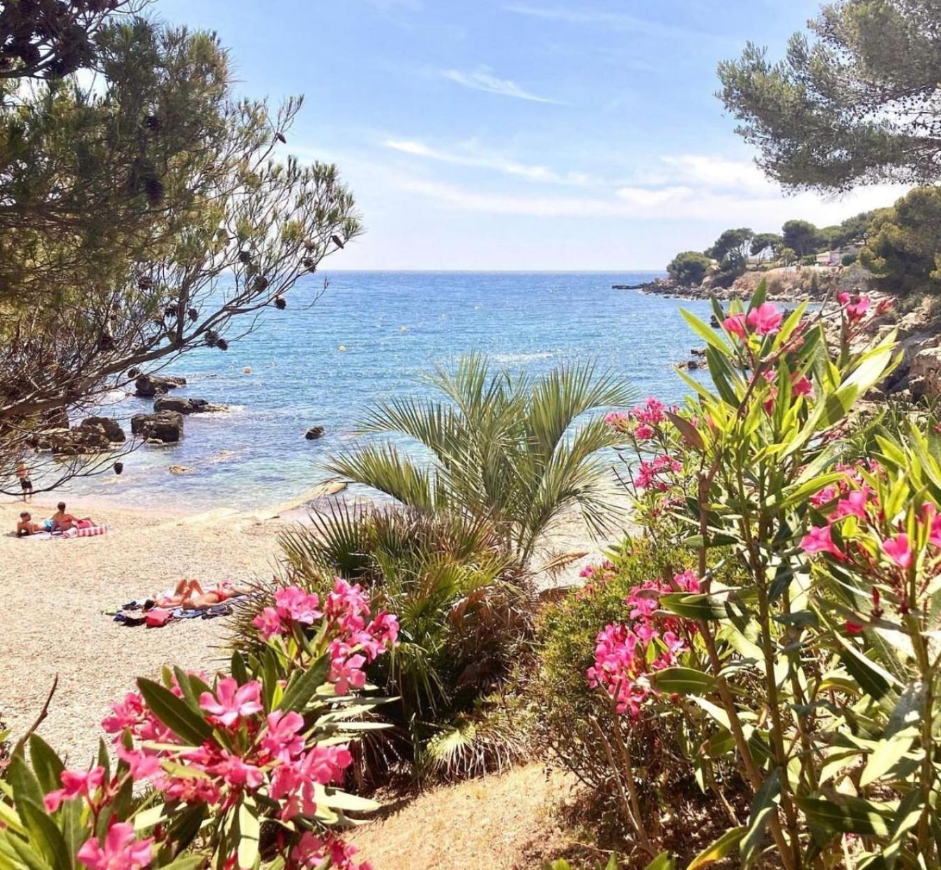 Logement Vue Mer Splendide - Situe A 50 Metres Du Bord De Mer Et 2 Minutes Des Plages - Bandolina Exterior foto