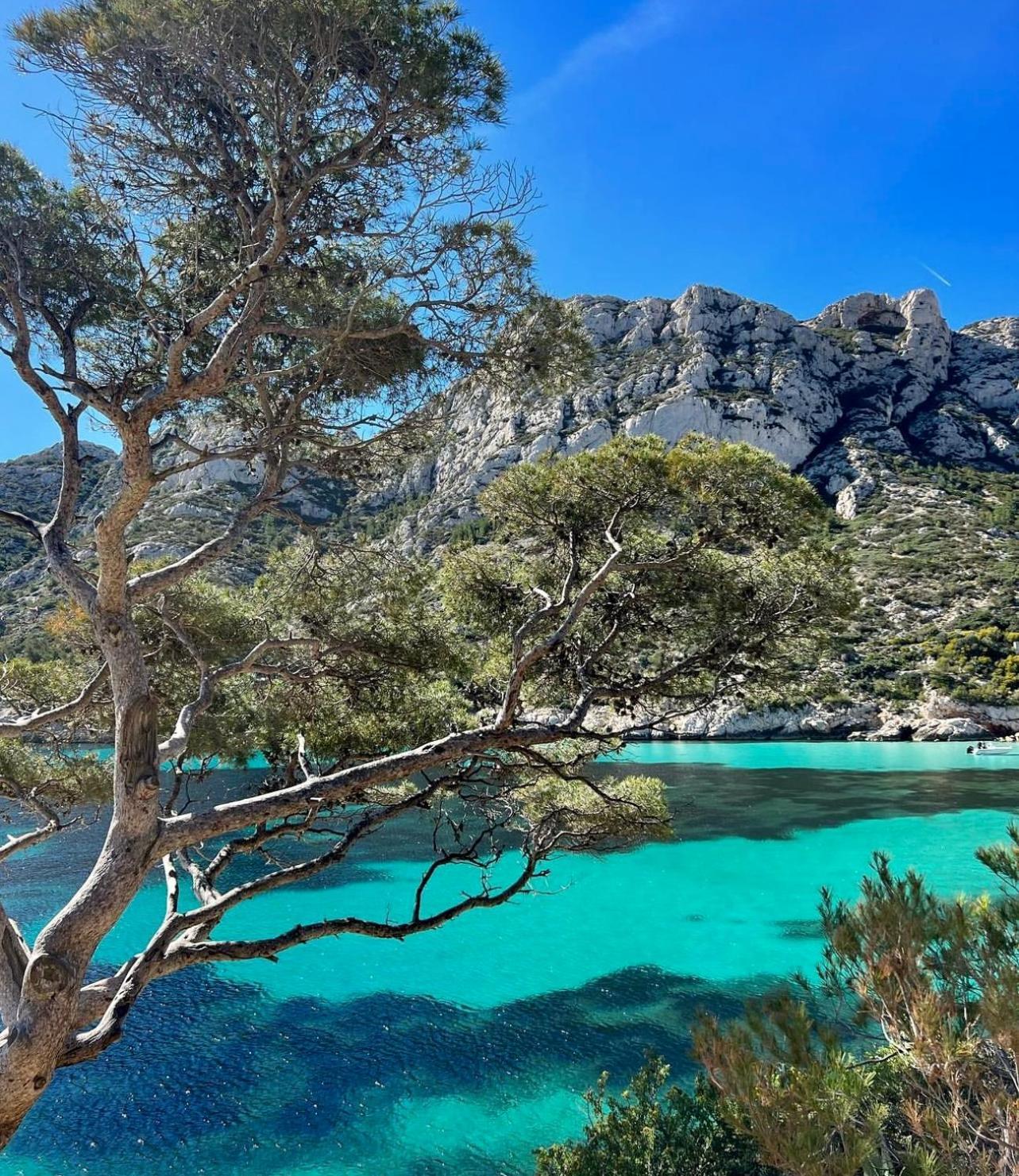 Logement Vue Mer Splendide - Situe A 50 Metres Du Bord De Mer Et 2 Minutes Des Plages - Bandolina Exterior foto